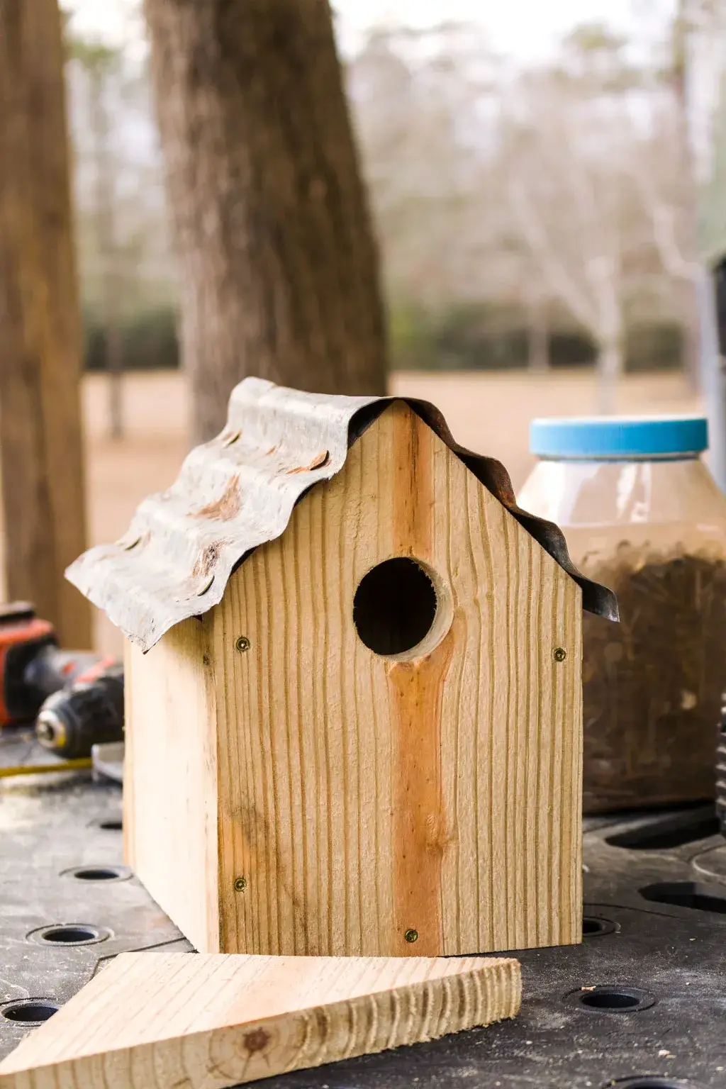 diy bird house