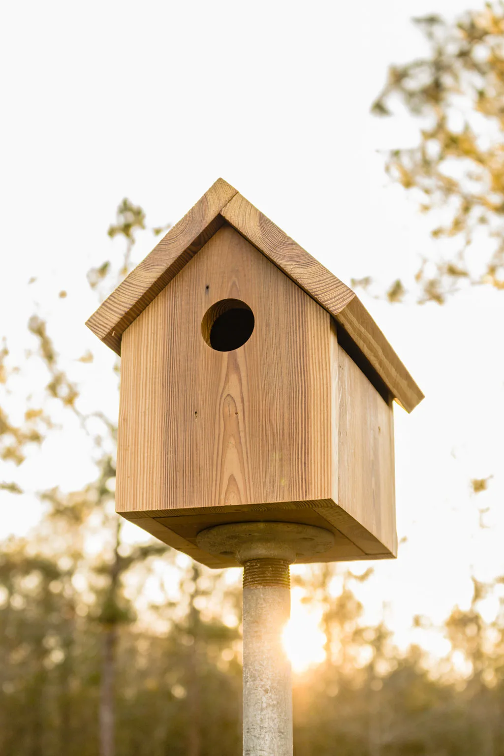 Diy Birdhouse