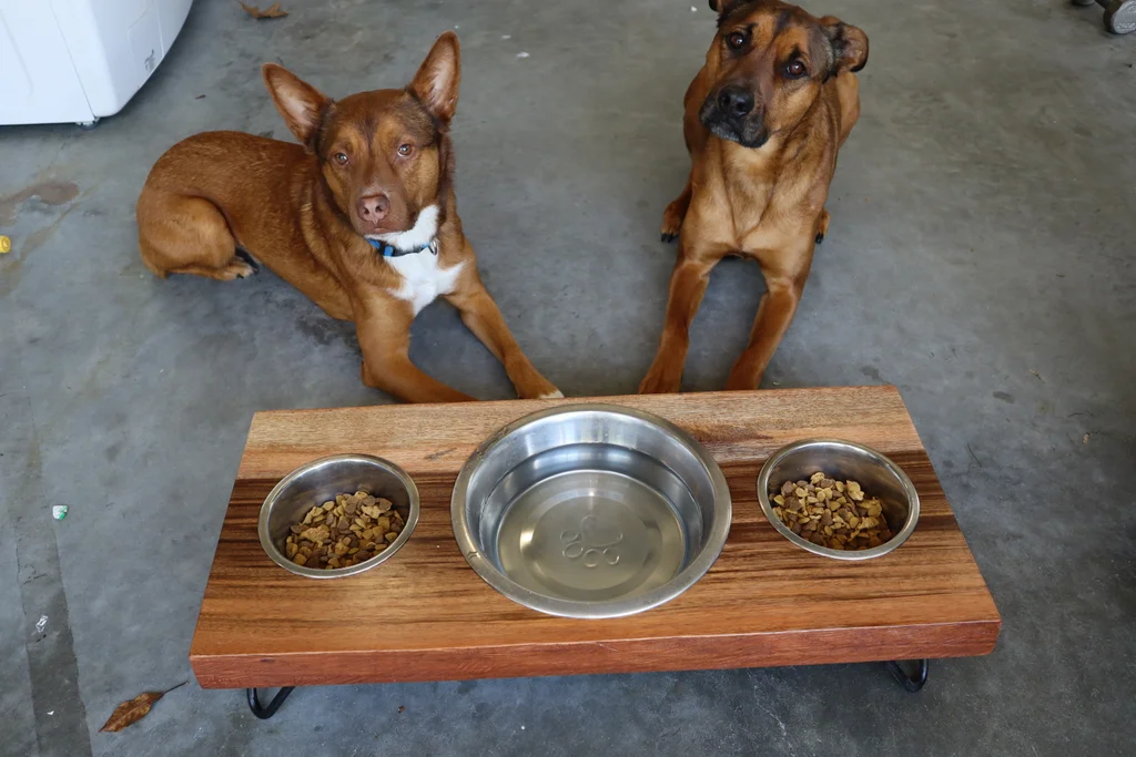 Dog Bowl Stand