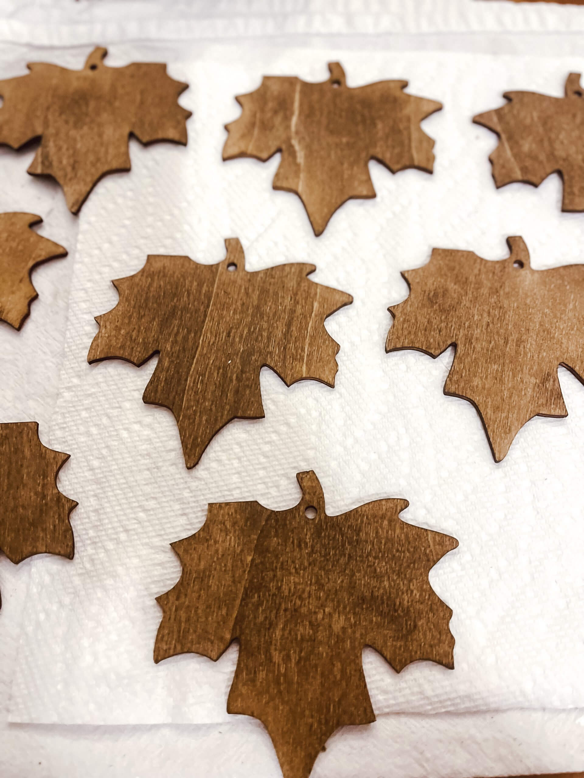 Painted Wood Leaf Garland