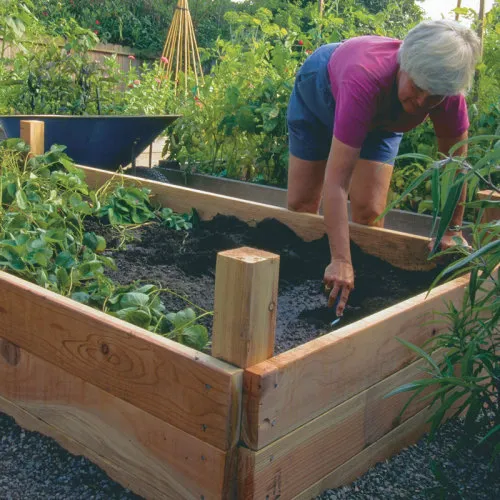 Raised Garden Beds