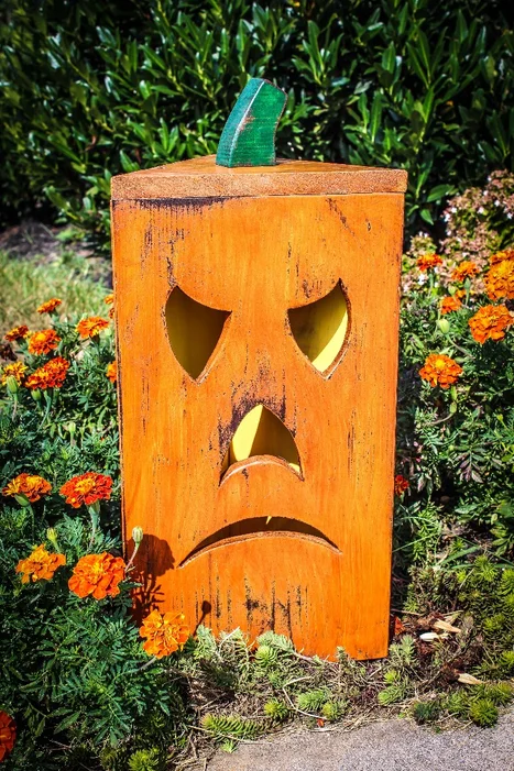 Rustic Pumpkin Lantern
