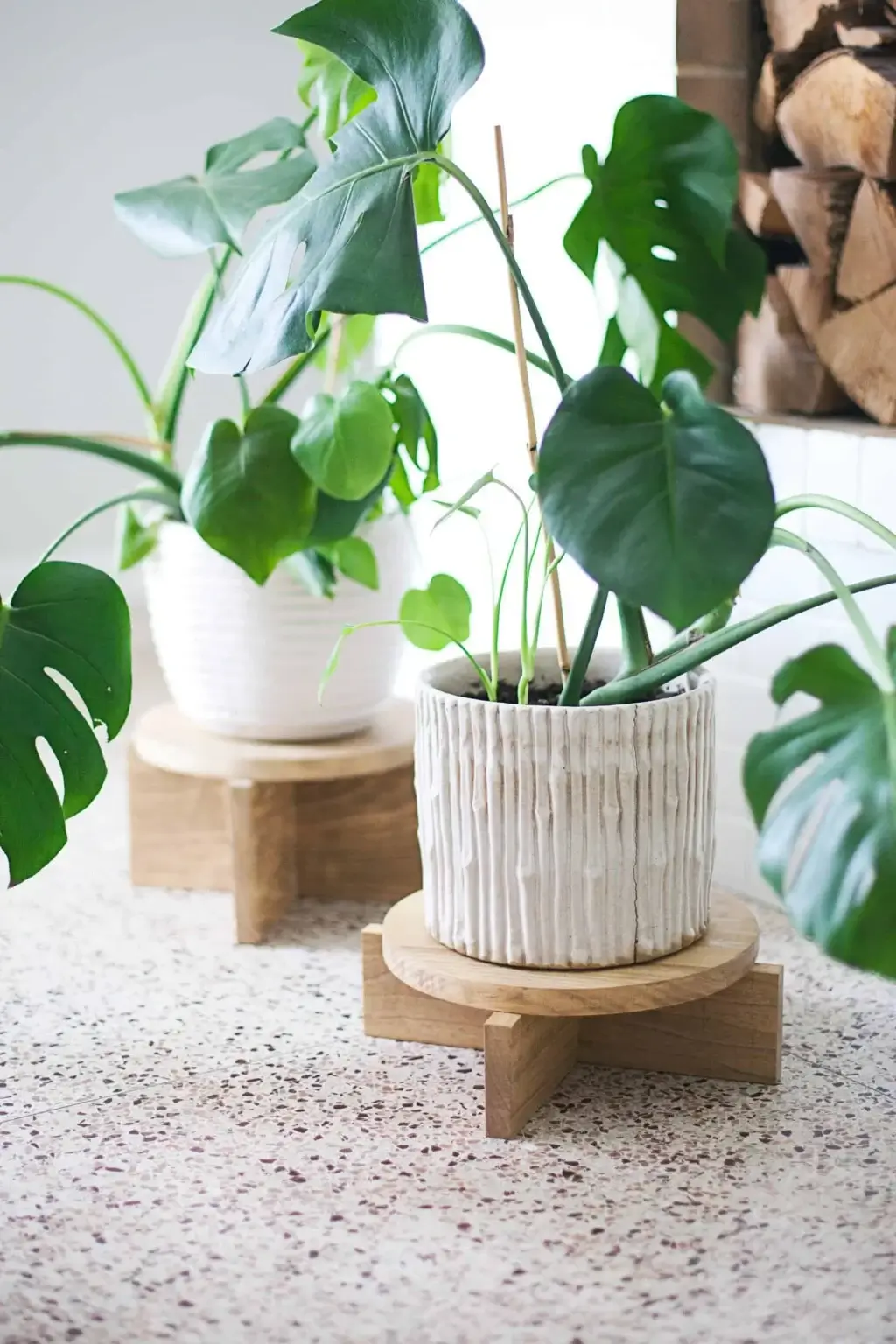 modern plant stand