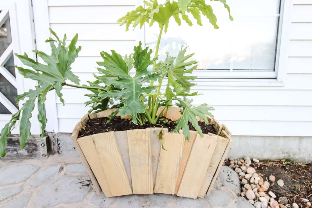 Pallet Wood Plant Stand