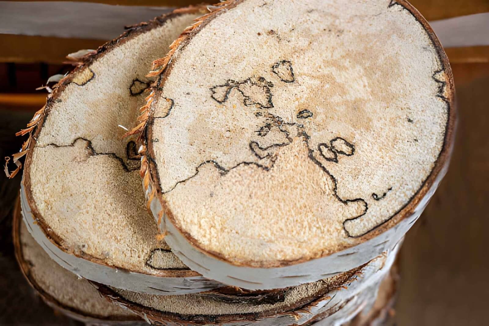 Simple Wood Burned Coaster