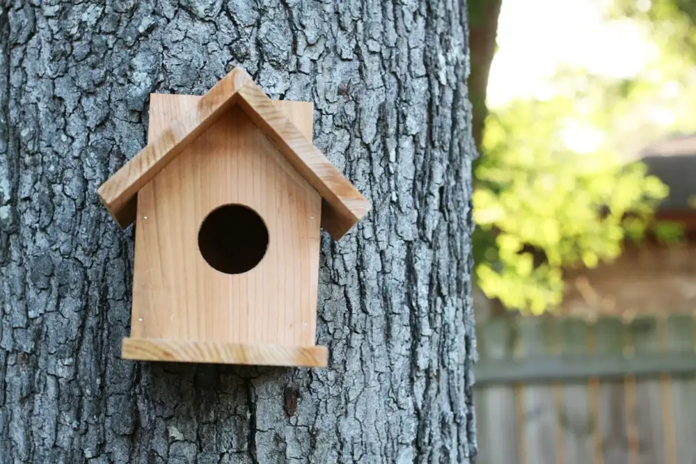 Wooden Birdhouse