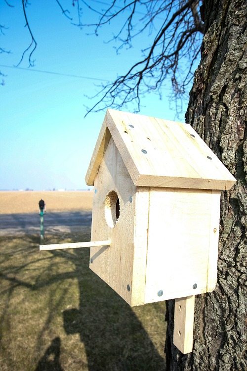 reclaimed birdhouse