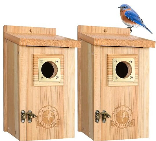 Cedar Mounted Pole House