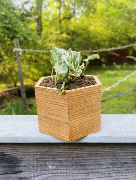 The Hexagonal Planter Box