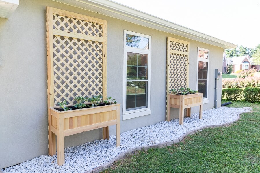 The Planter Box with Built-In Trellis