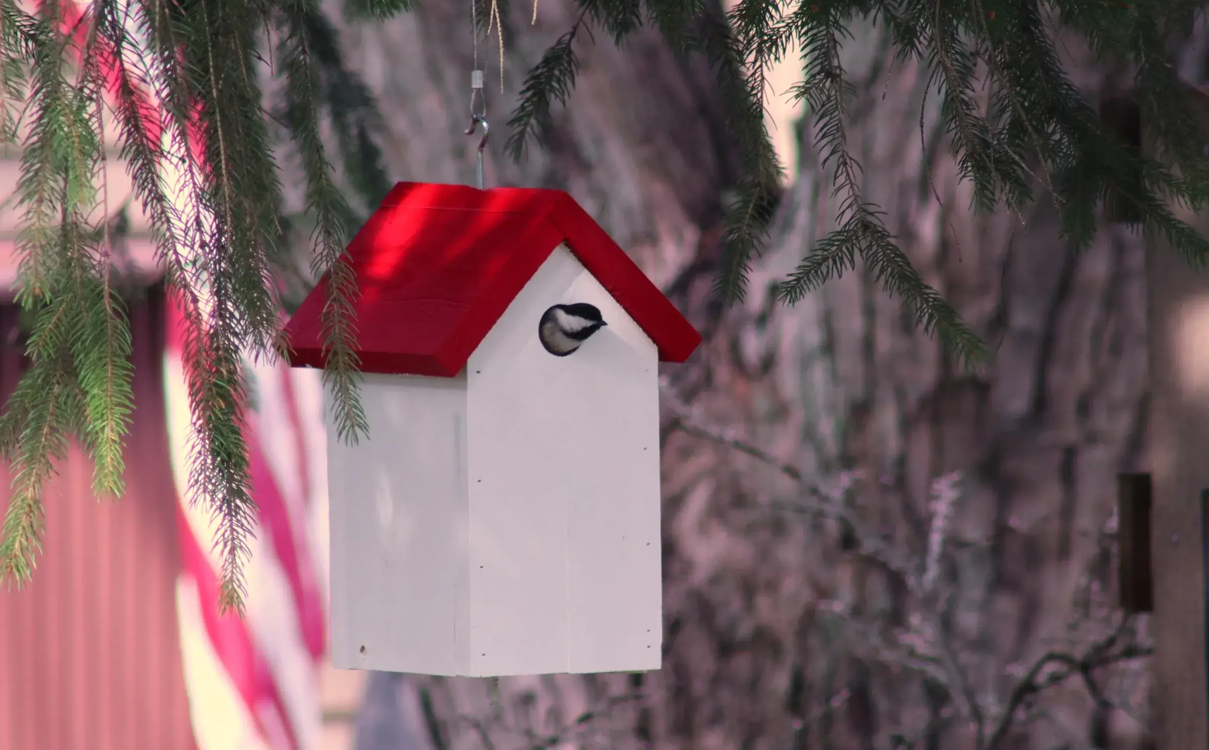 The Simple Box Birdhouse