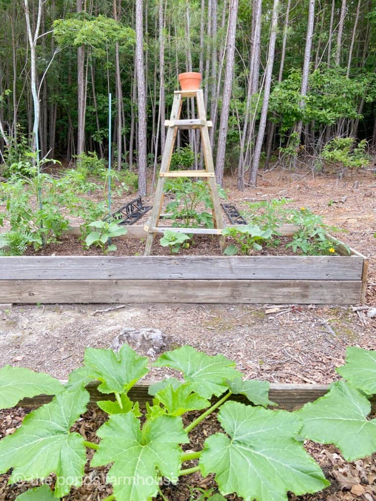 The Obelisk Tower Trellis