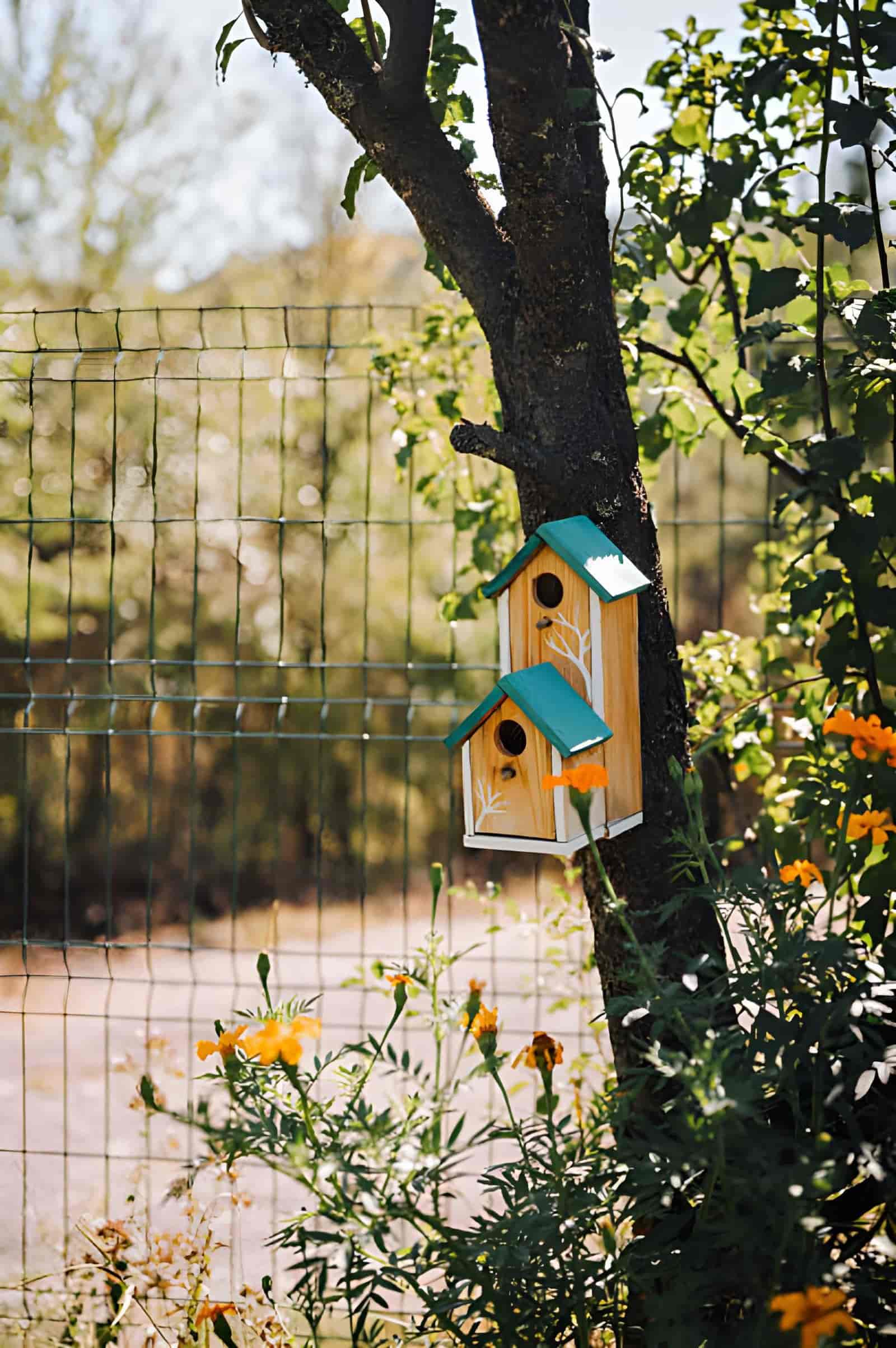 Decorative Birdhouses