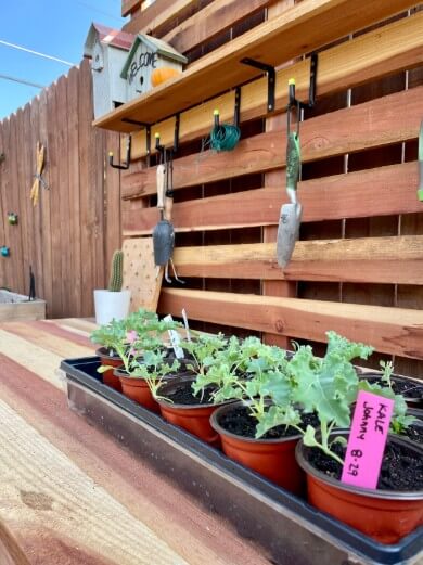 Potting Bench With Built-In Trellis Back