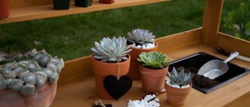potting bench