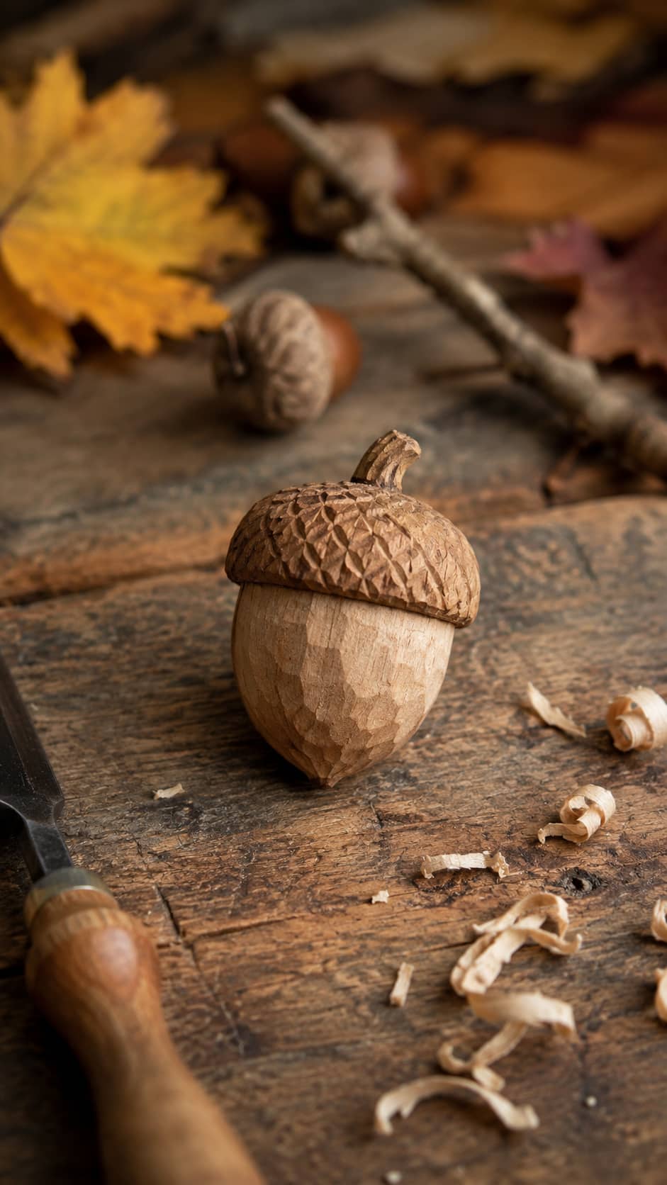 Acorn Pattern