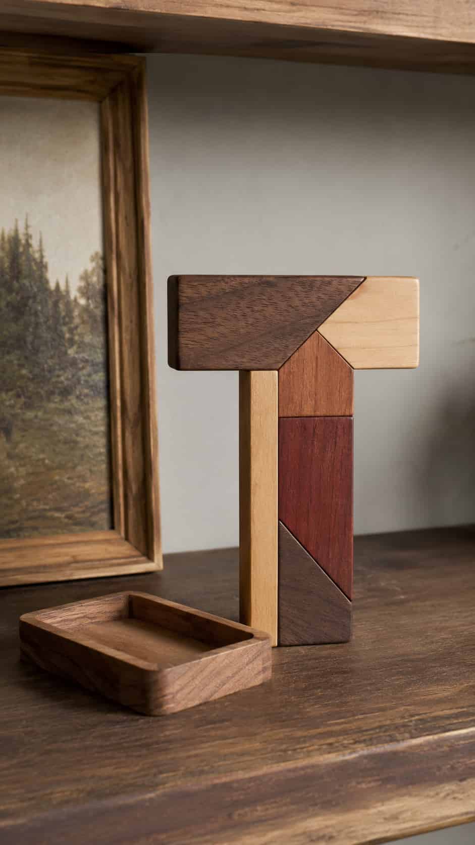Geometric T Puzzle