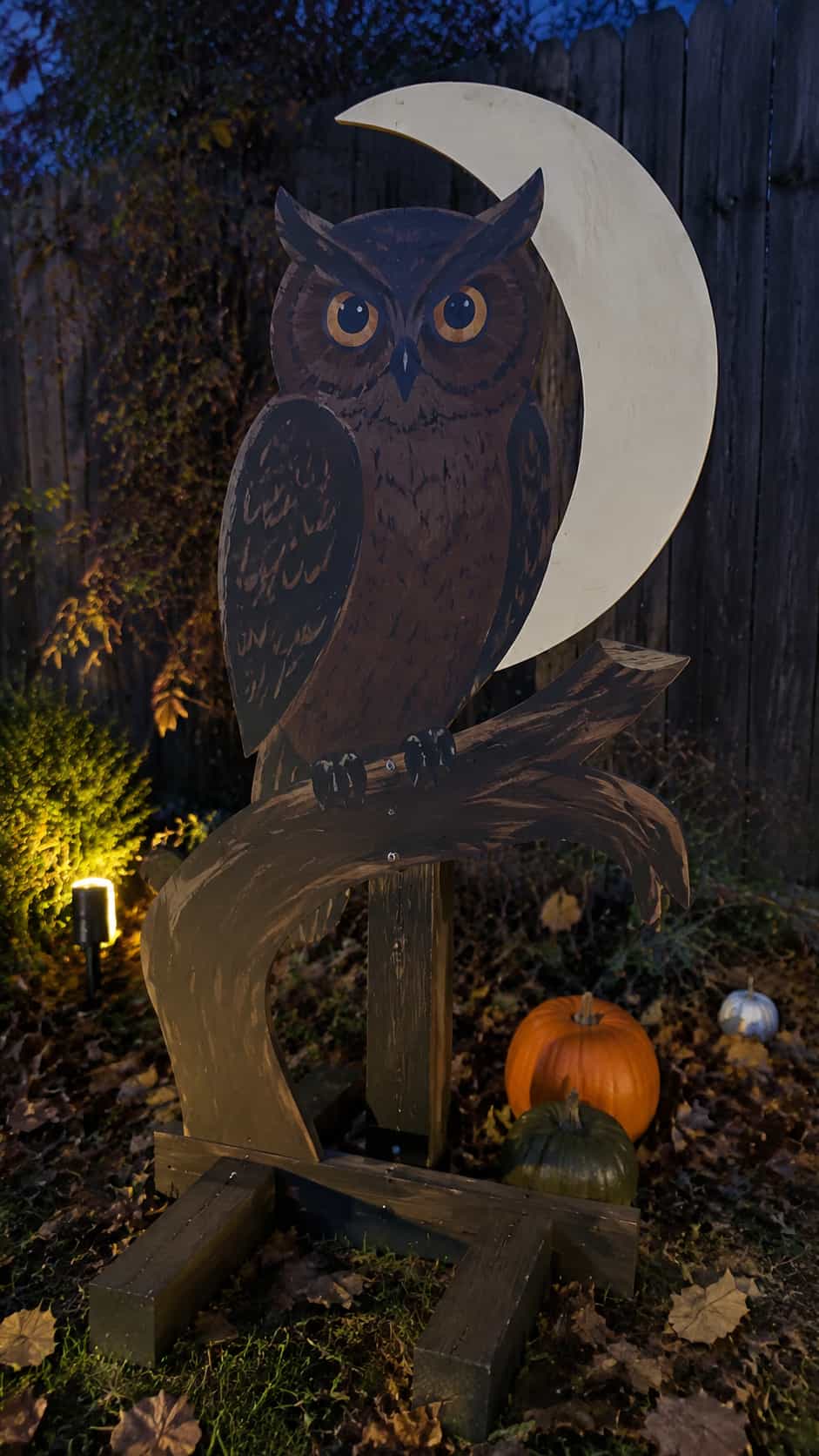 Owl on a Twisted Branch
