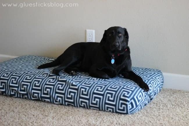 Crib Mattress Dog Bed