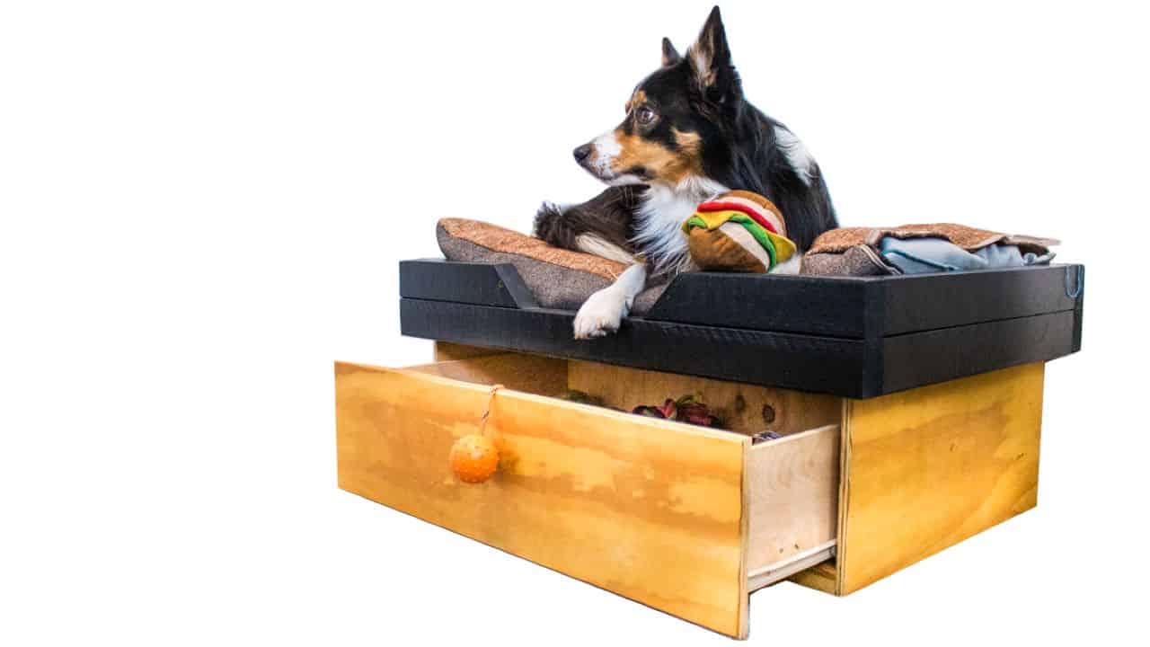 Dog Bed With a Pull-Out Storage Drawer