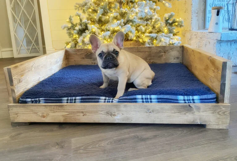 Doghouse-Style Canopy Bed