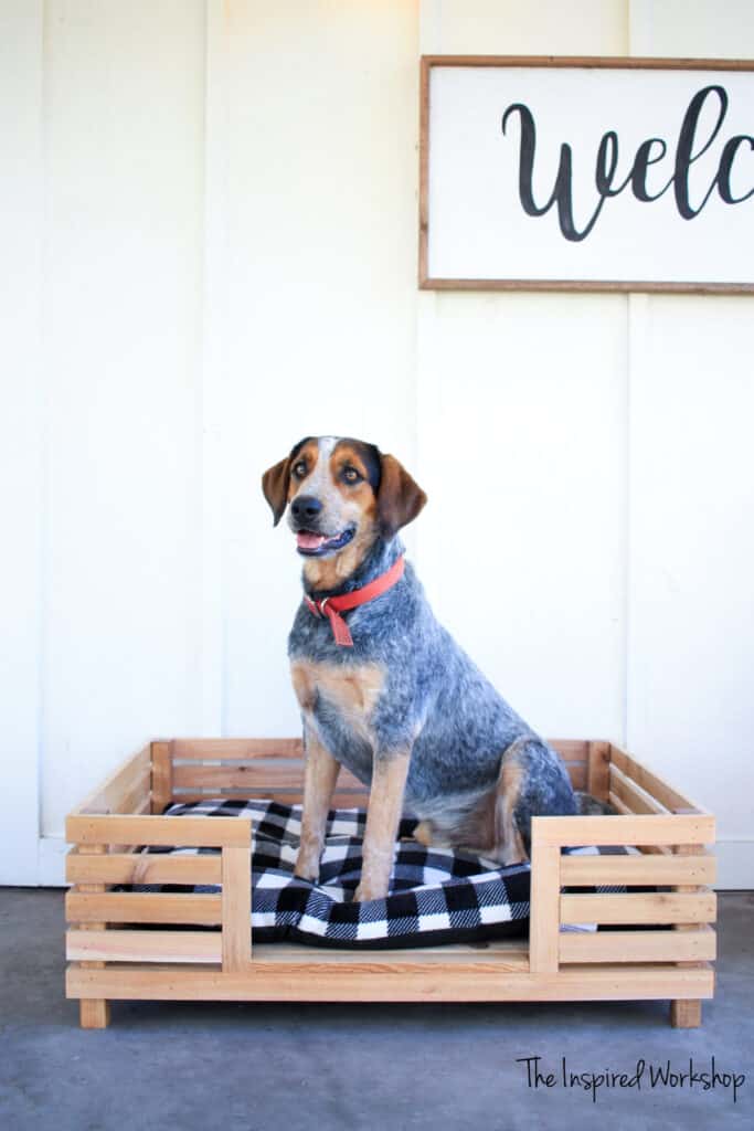 Large Slatted Wooden Dog Bed