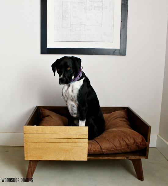 Modern Plywood Dog Bed