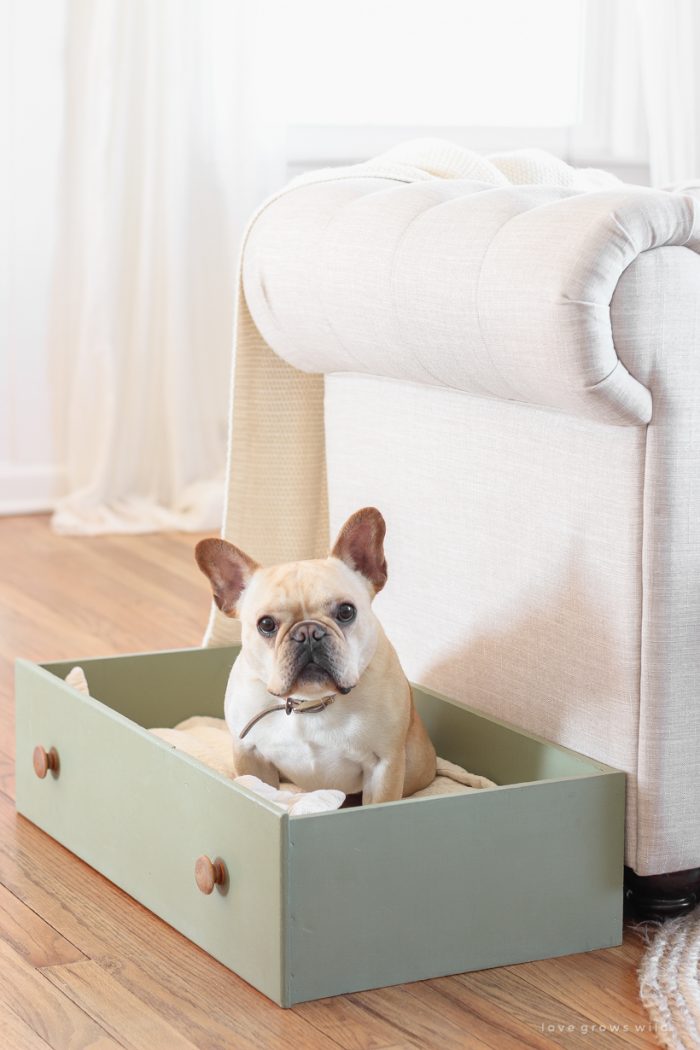 Repurposed Dresser Drawer Dog Bed