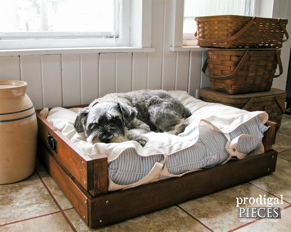 Rustic Dog Bed With Carry Handles