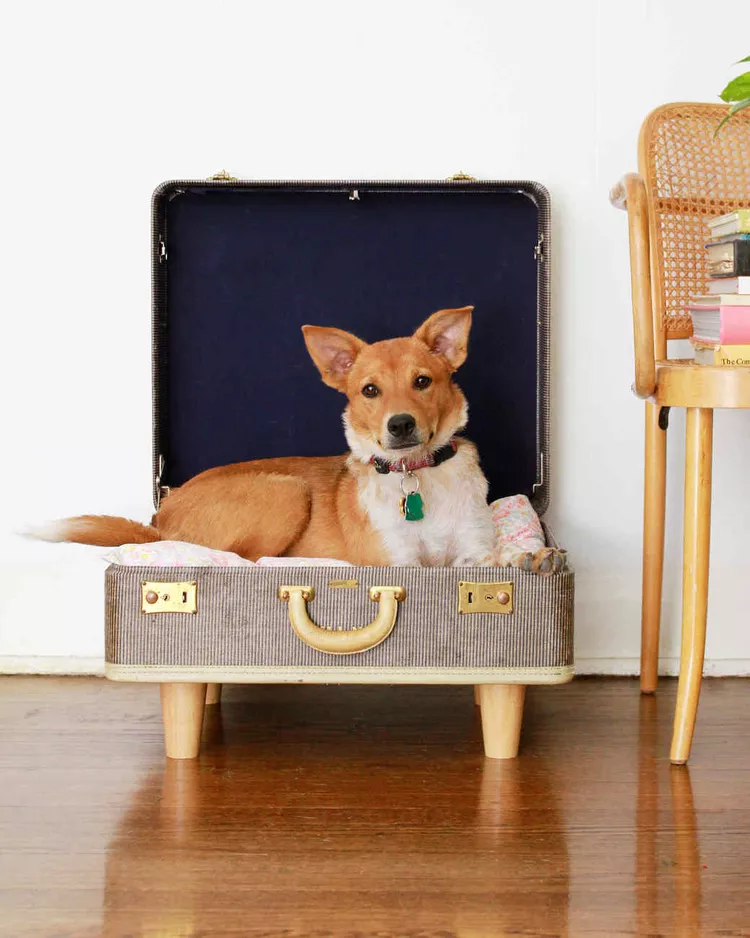Vintage Suitcase Dog Bed